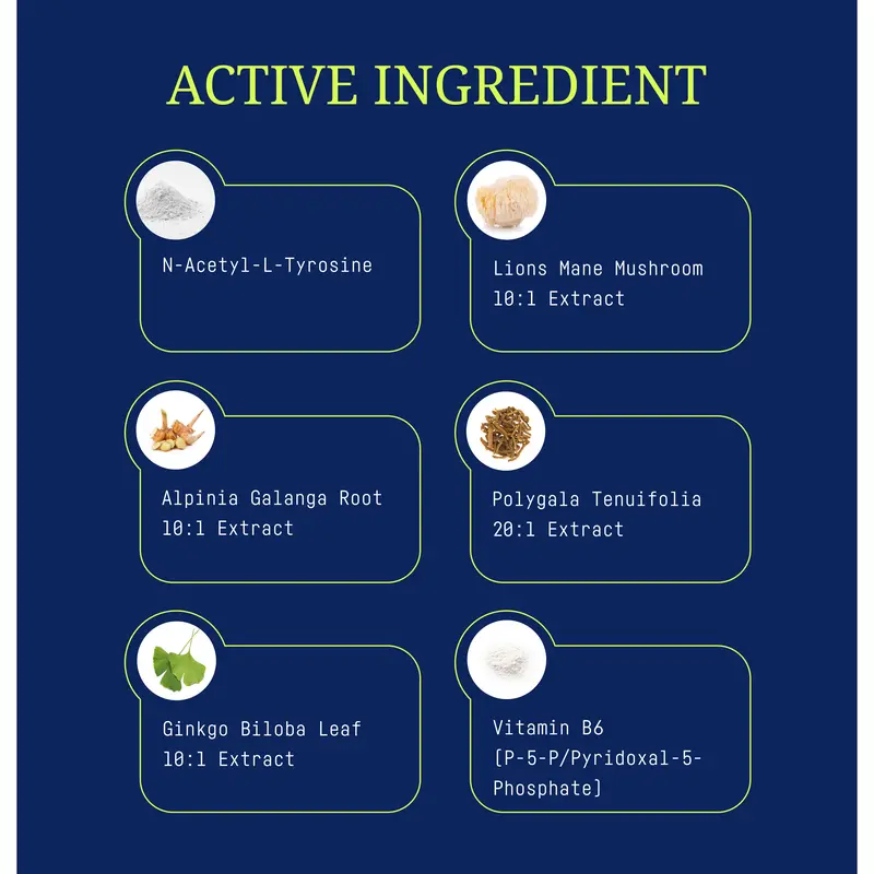 Lions Mane Mushroom, Polygala, Ginkgo Biloba, Alpinia Galanga, N-Acetyl-L-Tyrosine, Vitamin B6 - Fast Focus Oral Spray 2