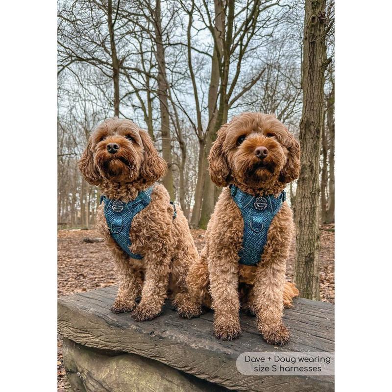 Tough Trails™ Harness - Country Teal 7