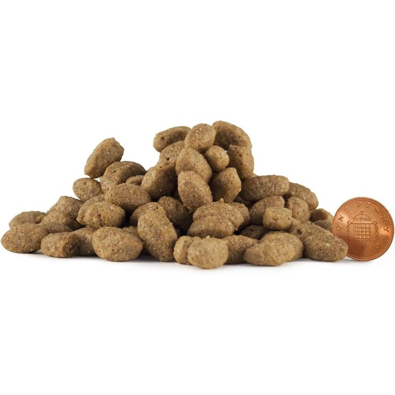 Skinner’s Field & Trial Chicken & Rice – Complete Dry Adult Dog Food, Sensitive, Gentle Digestion, 15kg 4