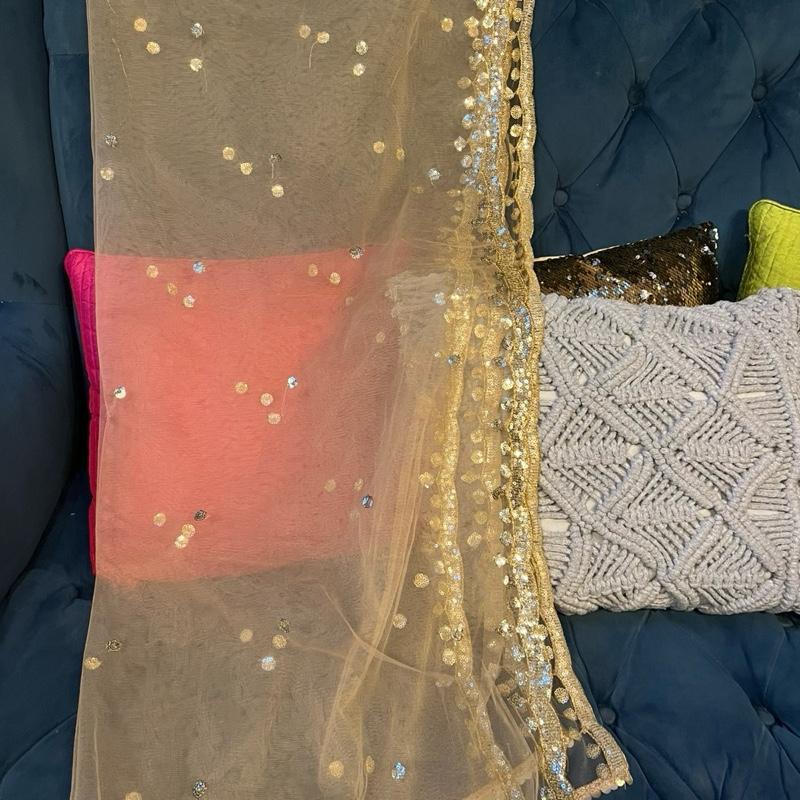 Women Beigish Gold  Net Dupatta with Gota Work. wallima Net hijab. Bridal scraf. Gift for her USA UK Canada 3