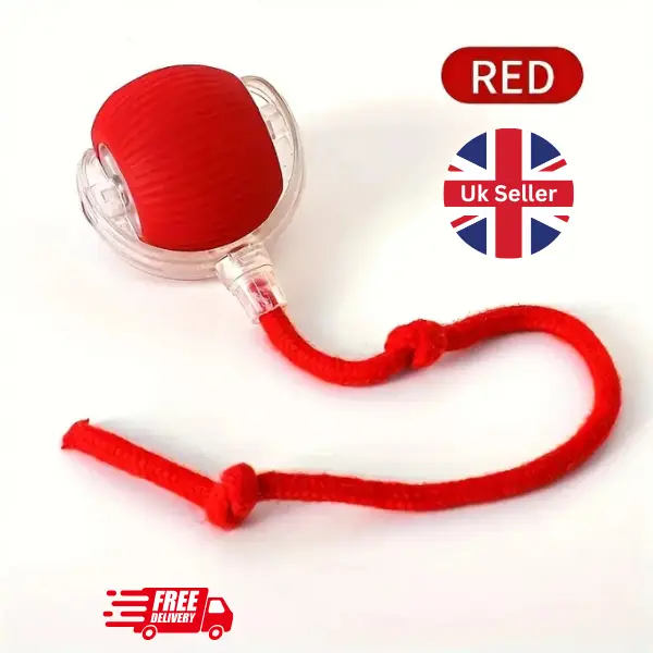 [UK Seller] Newly Designed 360° Interactive Electric Rolling Mobile Rechargeable Self-play Stimulating Toy, Pet Chase Ball with Fast Tail Rope, Suitable for Indoor Cat, Small Dog Toy