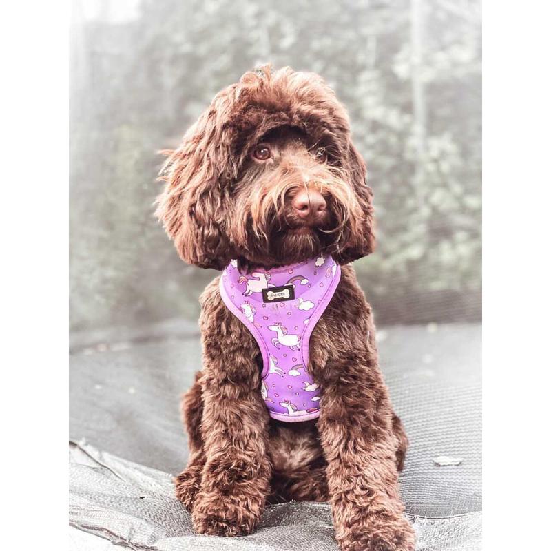 Daydreams and Unicorns Adjustable Dog Harness 3