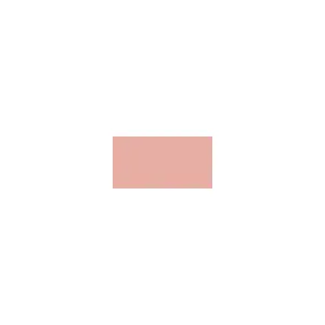 2-in-1 Lip & Cheek Cream Blush 5