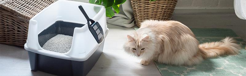 Product Introduction of Cat Litter Tray with Scoop – Easy to Clean, Detachable Spill-Preventing Walls, BPA-Free Cat Litter Box in Grey, Size CLH-12, Suitable for Kittens, Adult Cats, and Rabbits – Modern Open Top Design 23