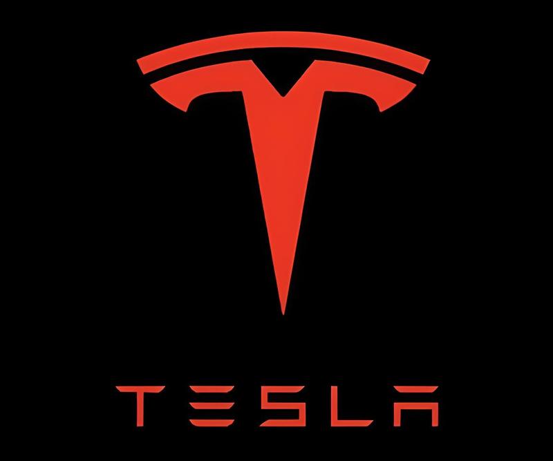2Pcs Tesla Car Door Projector Light LED Logo Projector for Model 3/S/X/Y 3