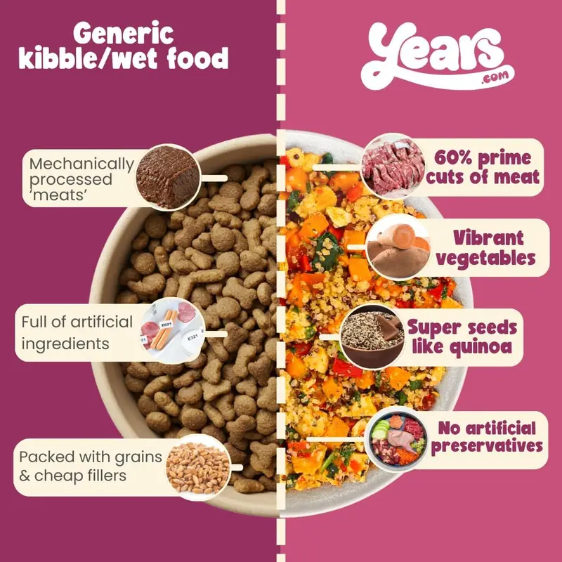 4x Steak & Kidney Mushroom Hotpot Adult Dog Food | Grain Free | Years Complete Nutritional Fresh Wet Dog Food |  Hypoallergenic 6