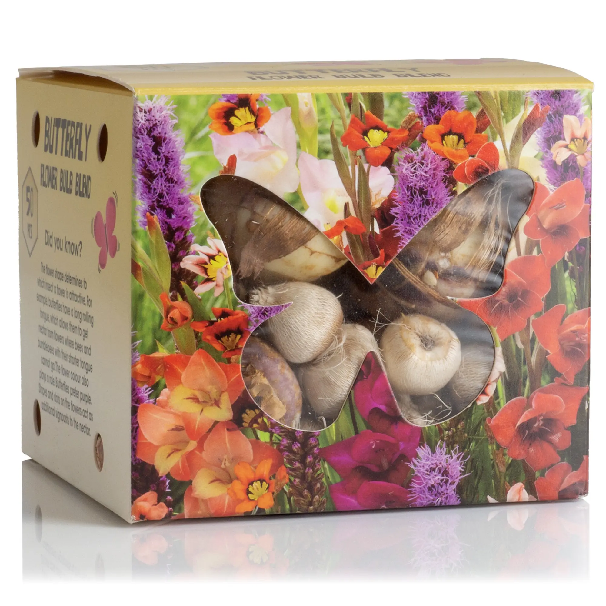 Butterfly Flower Bulb Box (Liatris Spicata, Gladiolus Hortulanus, Sparaxis Tricolor) 50x Gift Bag with Spring Planting Flower Bulbs in UK which Attracts Butterflies & Pollinators by Jamieson Brothers