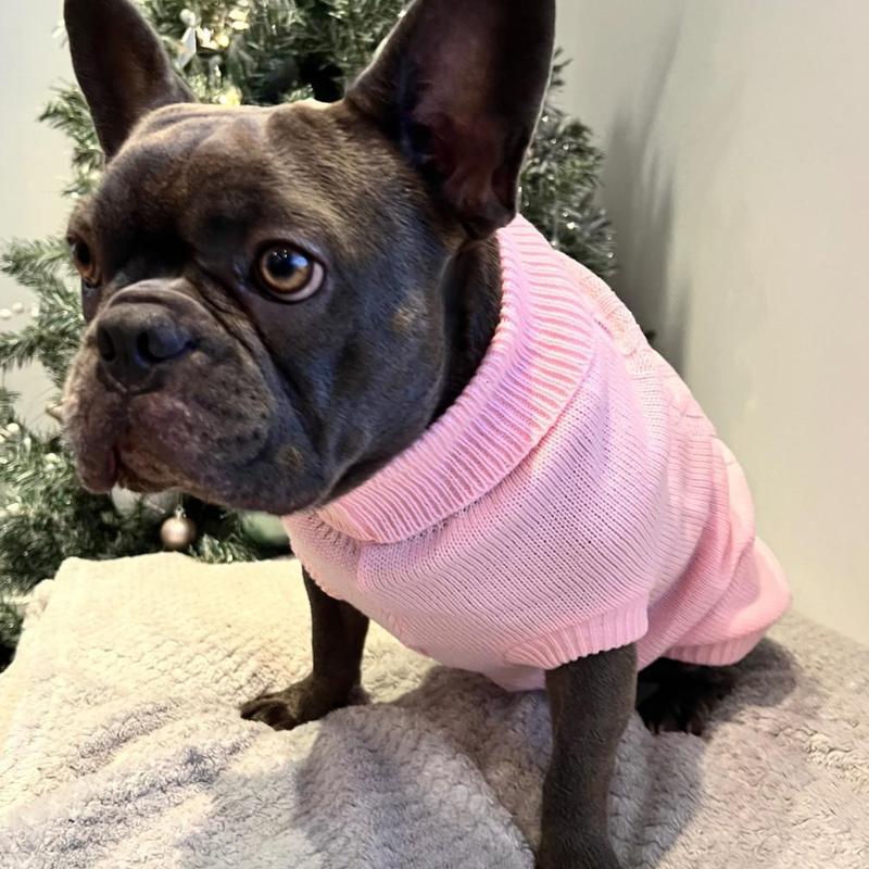 Soft Dog Sweater with High Neck - Smart Quality Jumper in 6 Winter Colours 6