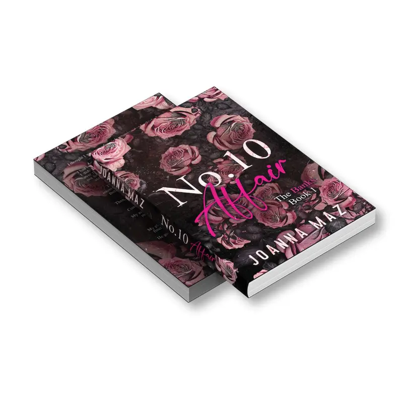 Number 10 Affair - paperback (alternate cover edition) 5