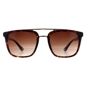 Police Sunglasses SPLB41 Origins 35 0722 Havana and Gold Brown Gradient for Male - Mens Sunglasses - Menswear