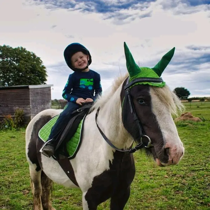 Green saddle pad and fly veil set equestrian 6