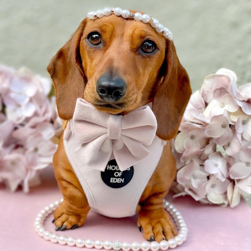 Pure Peony - Pink Velvet Sailor Bow Tie 2