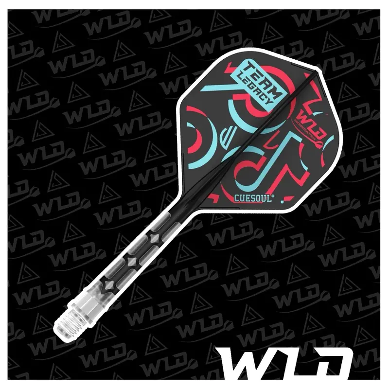 WLD TikTok Limited Edition T19 Cuesoul Darts Set with All In One Flights - Let's Play Darts Range 3