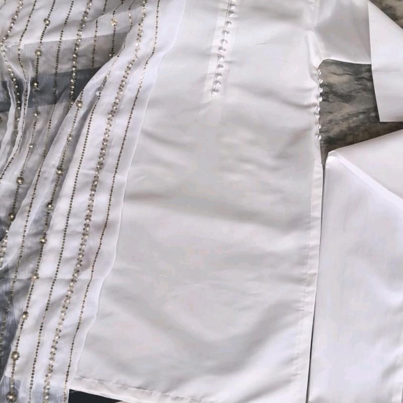 Gorgeous Chiffon Pearl Work Suit  with Free Delivery Elegant Outfit Style Silk Womenswear 1