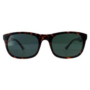 Polaroid Sunglasses PLD 2104/S/X KRZ/UC Havana Green Polarized for Male - Menswear - Mens - Sunglasses - Eyewear - Summer