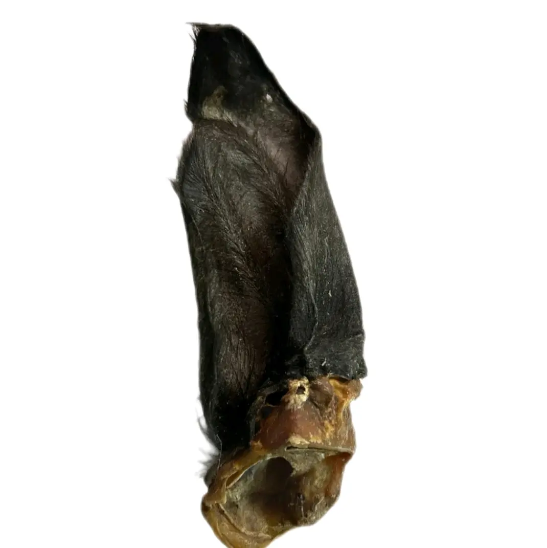 Hairy buffalo ears for dogs
