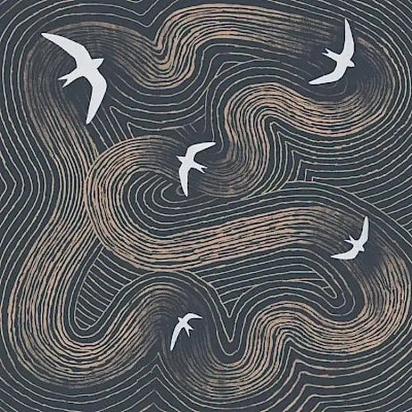 Swifts Card by Tjitske Kamphuis