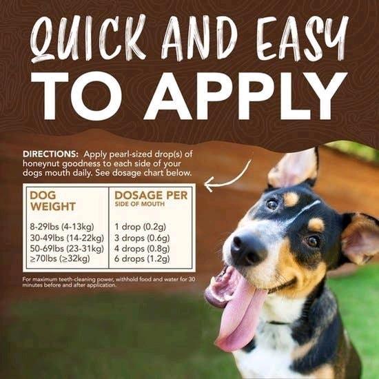 Tropiclean & KONG | The Enticers Tooth Gel Refill Kit | Dog Dental Care, Health & Hygiene | Delicious Savoury Meaty Flavours, Natural Ingredients 4