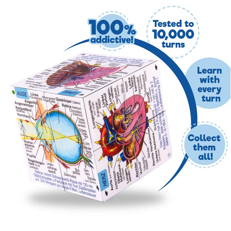 German Human Body Systems and Statistics Cube Book 3