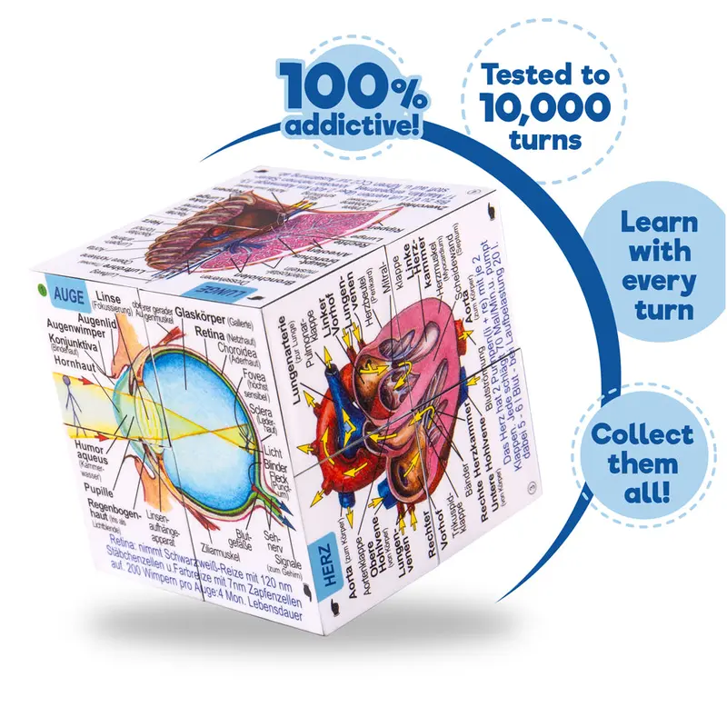 German Human Body Systems and Statistics Cube Book 3