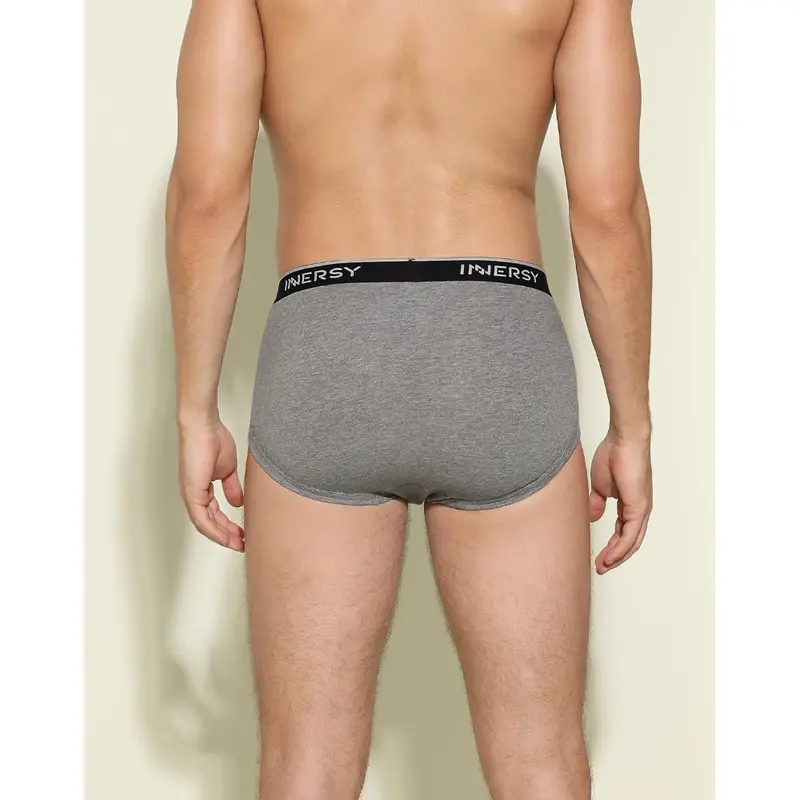 Mens Briefs Underwear Soft Cotton Underpants with Fly High Waist Pants Pack of 4 2