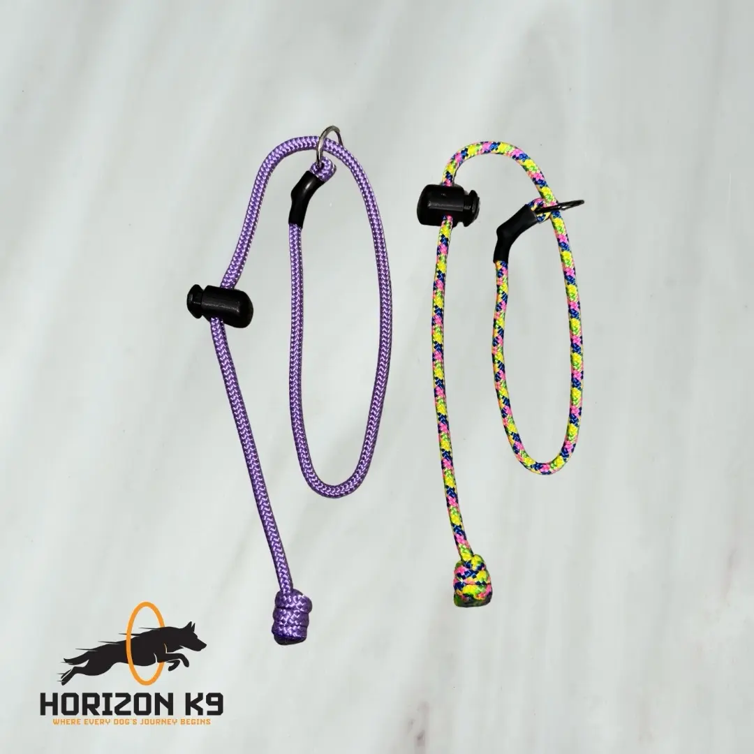 Slip collar with tab lead for dogs