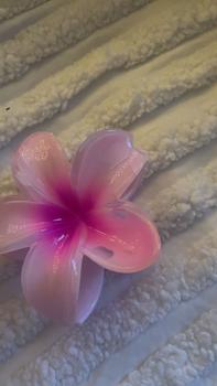 Product Review of Simple Flower Design Hair Claws, Casual and Versatile Hair Accessories for Women, Minimalist Headwear Suitable for Beach Vacation Daily Use Christmas Gift Claw Clips from C**s J**s 0