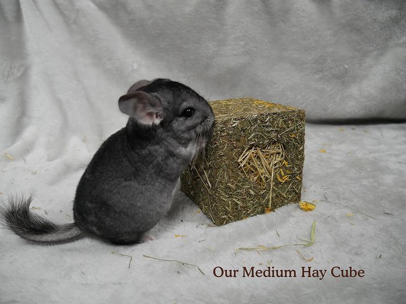 Naturals ‘I Love Hay’ Forage Cube, Treat & Toy for Small Animals, Large 2