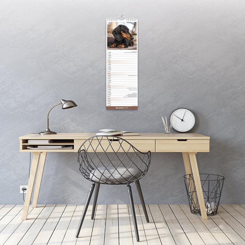 Dachshund Calendar 2025 Slimline Wall Hanging Calendar 3