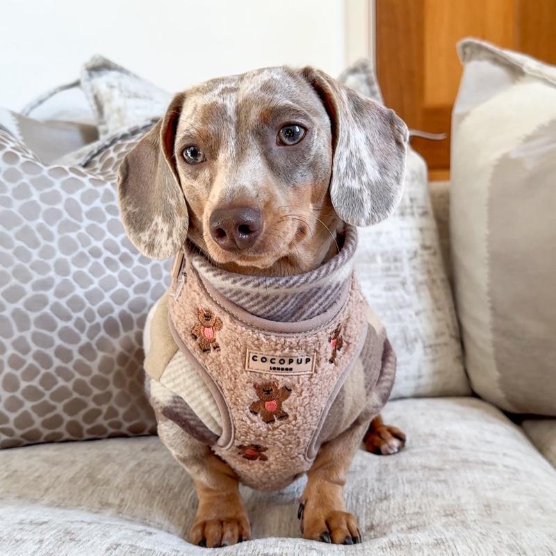 Plaid Dachshund Fleece - Black Friday Offer dog jumper 3