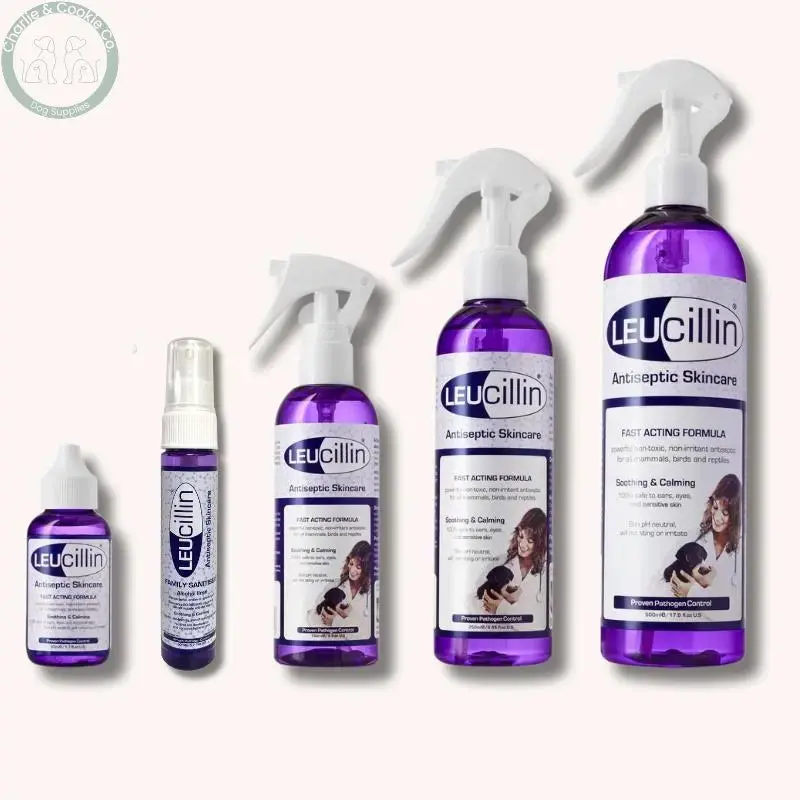 Leucillin Hypochlorous Antiseptic Spray - Safe & Effective