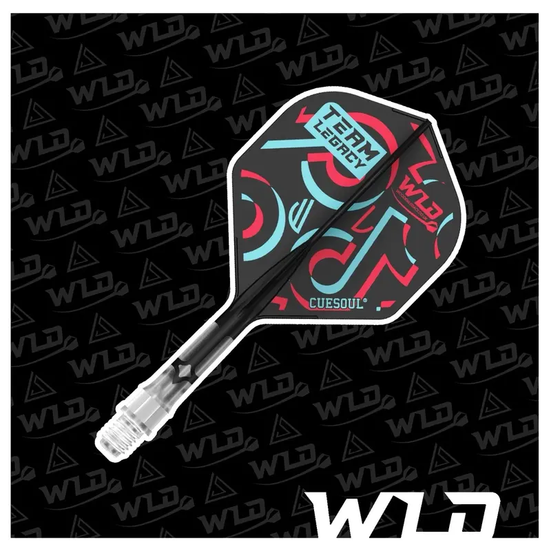 WLD TikTok Limited Edition T19 Cuesoul Darts Set with All In One Flights - Let's Play Darts Range 1