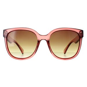 Calvin Klein Sunglasses CK22553S 210 Transparent Brown Brown Gradient