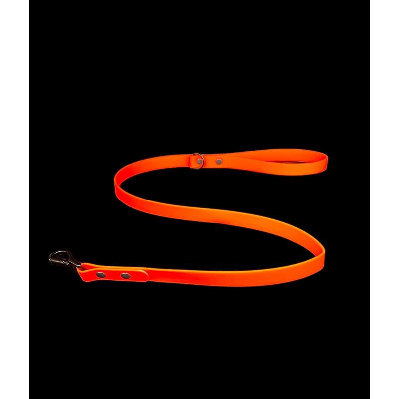 Biothane Dog Lead | Strong Webbing with Waterproof Rubber Coating | Sizes from S to L | All colours available 7