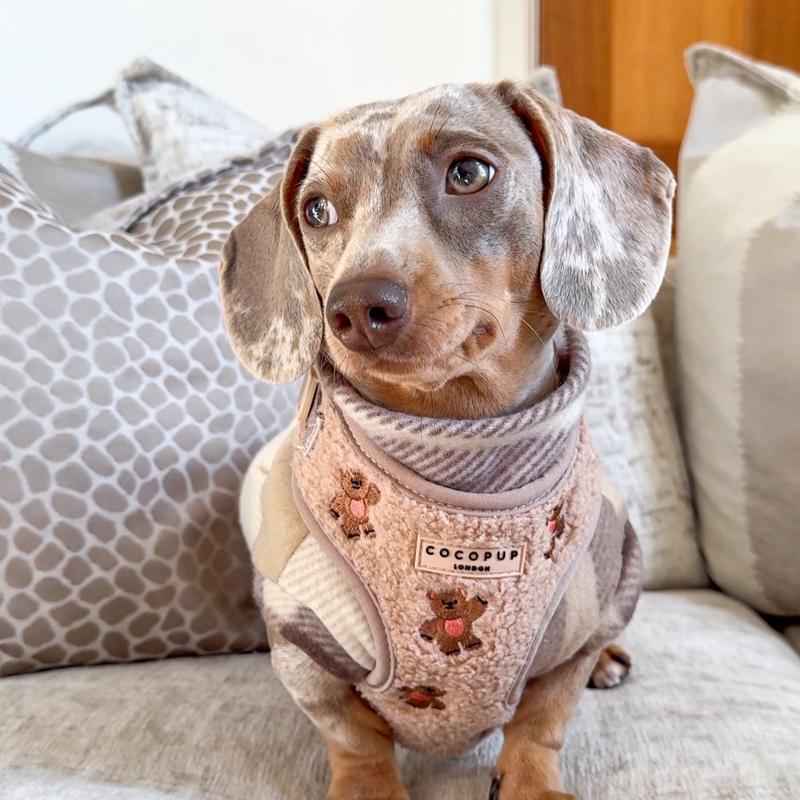 Plaid Dachshund Fleece - Black Friday Offer dog jumper 2
