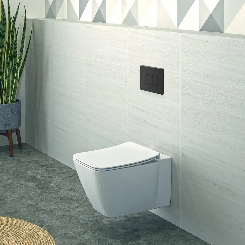 Solea P2 Pneumatic Toilet Flush Plate, R0110A6, Black 4