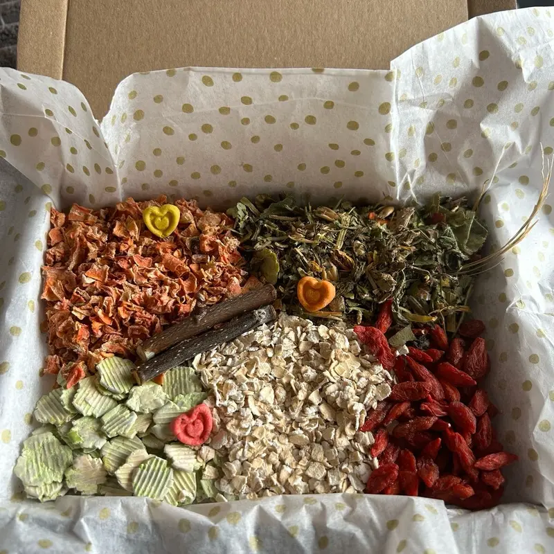 Guinea pig treat box 0