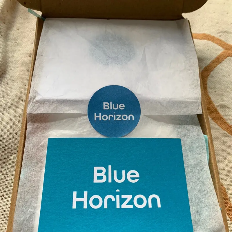 Blue Horizon 40 Piece Value Bundle Silver or Gold Plated Acupressure Ear Seed Kit- Perfect letterbox gift for well-being 5