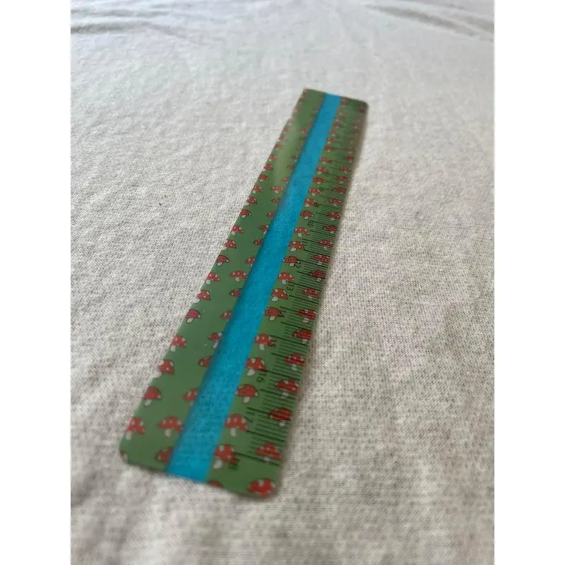 Blue Tinted Reading Ruler 3