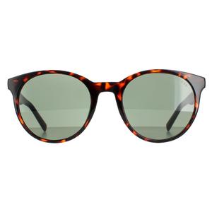 Guess Sunglasses GU00023 52N Dark Havana  Green for Male - Mens Sunglasses - Menswear