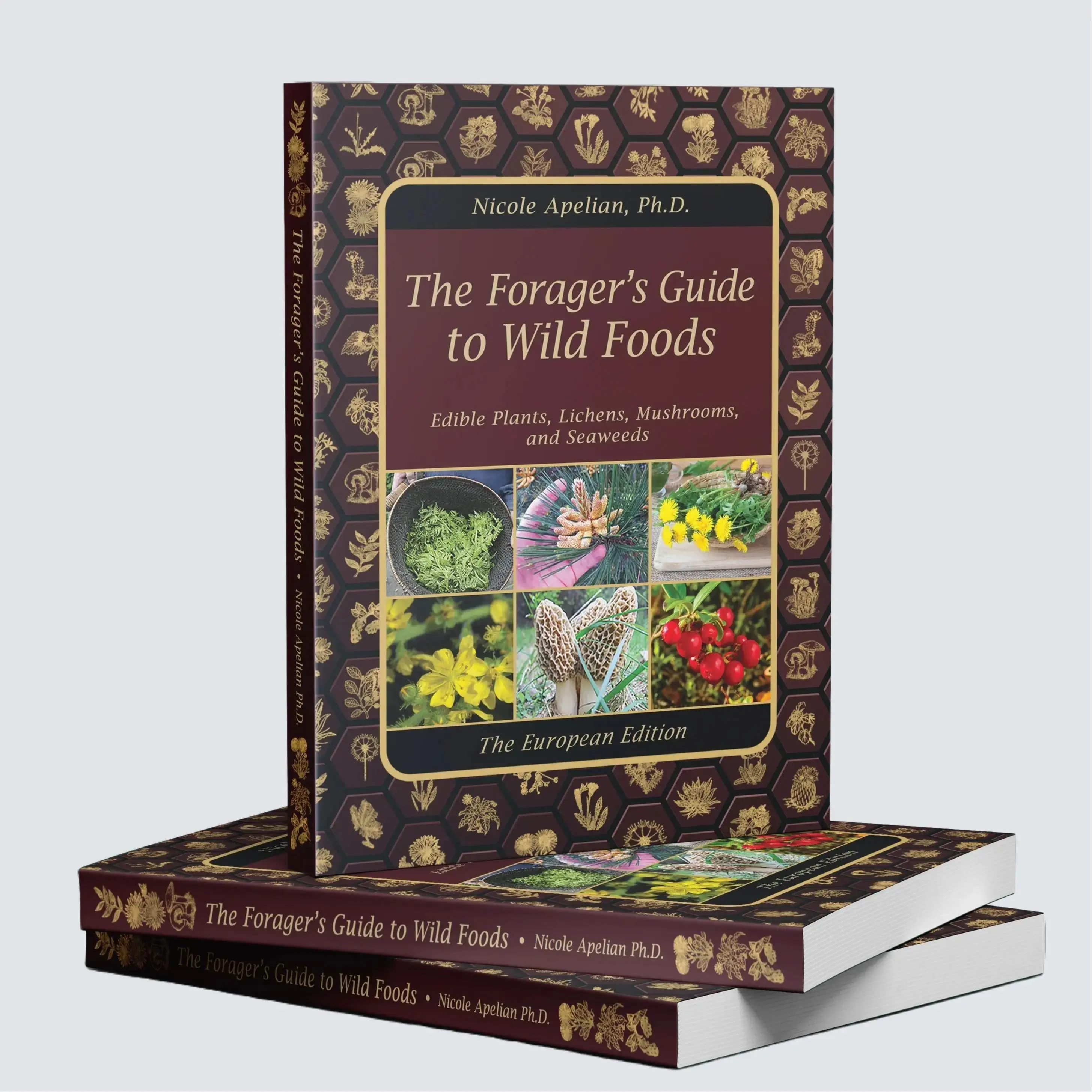 The Forager's Guide to Wild Foods | High-Quality Images & Maps for Plant Identification | Guidelines, Recipes, Full Page Photos