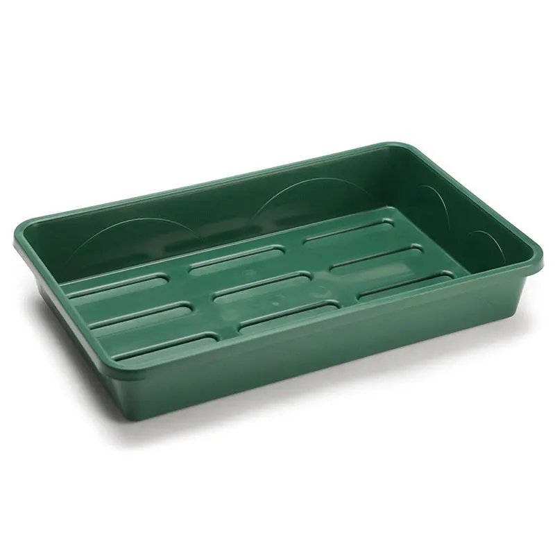 EarlyGrow Unheated 2-Bay Medium Propagator - Perfect for Growing Your Own 4