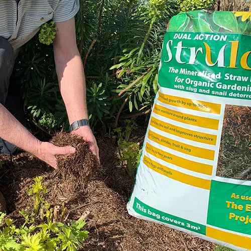 2 x 100L Strulch Mulch Straw Mulch in 9kg Bags, Natural Straw Mulch for Gardens 1
