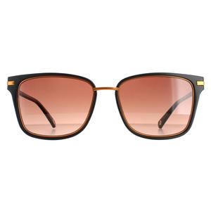 Ted Baker Sunglasses TB1620 Mata 001 Black Brown Gradient for Unisex - Mens - Womens - all genders - Eyewear - Sunglasses