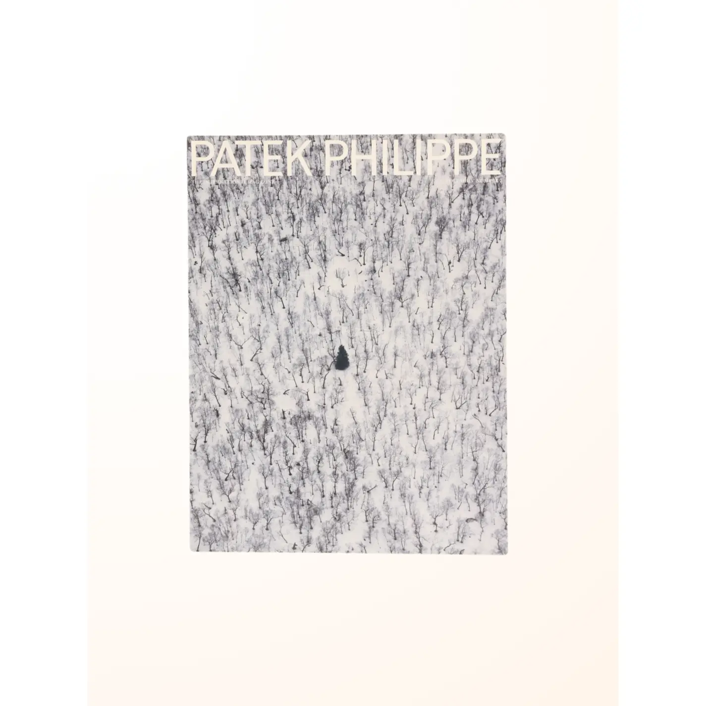International Magazine Volume IV Number 2
