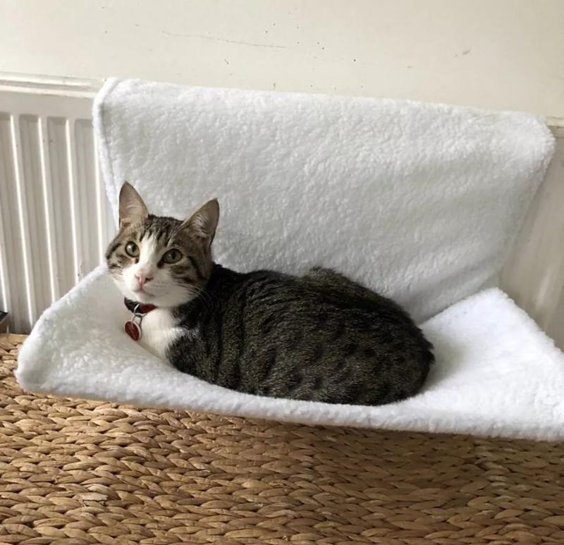 48cm Cat Radiator Bed - Faux Fur Kitten Dog Hammock Puppy Pet Window Cat Bed Dog Bed Sofa Grey Pet Beds Sofas & Mats Dog Bed 4