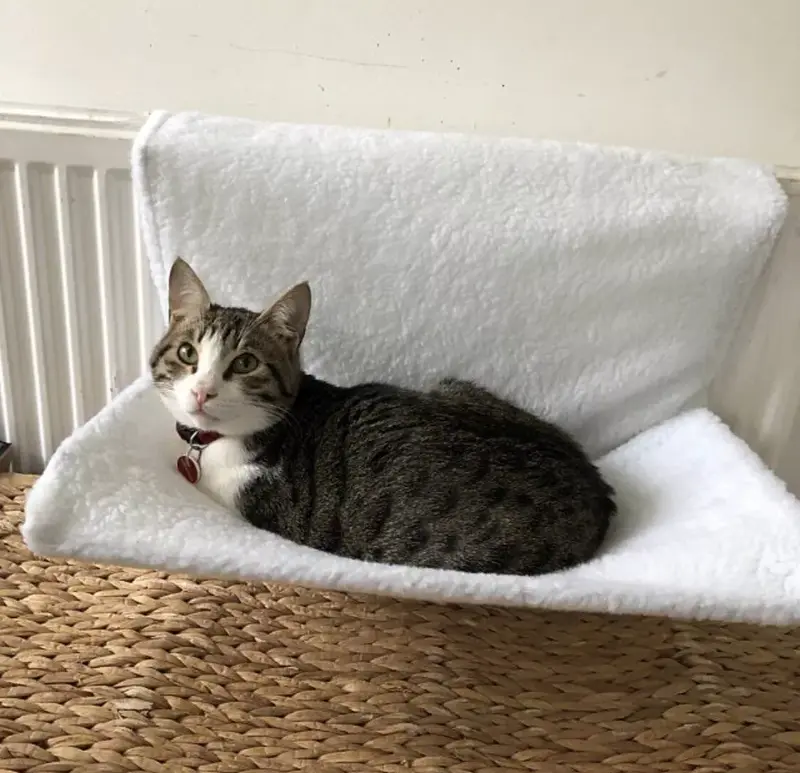 48cm Cat Radiator Bed - Faux Fur Kitten Dog Hammock Puppy Pet Window Cat Bed Dog Bed Sofa Grey Pet Beds Sofas & Mats Dog Bed 3