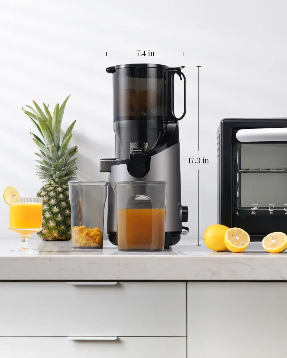 Cold press slow juicer