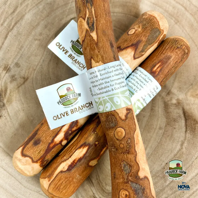 Natural  Olive Branch small medium large
