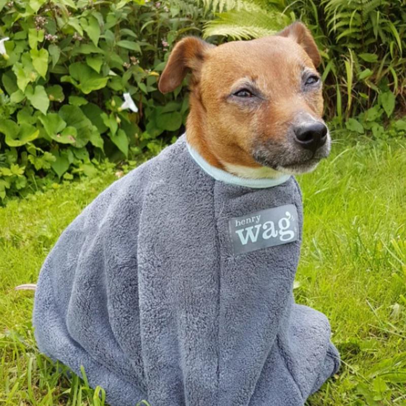 Henry Wag Microfibre Dog Drying Bag, Available in Small & Medium 3